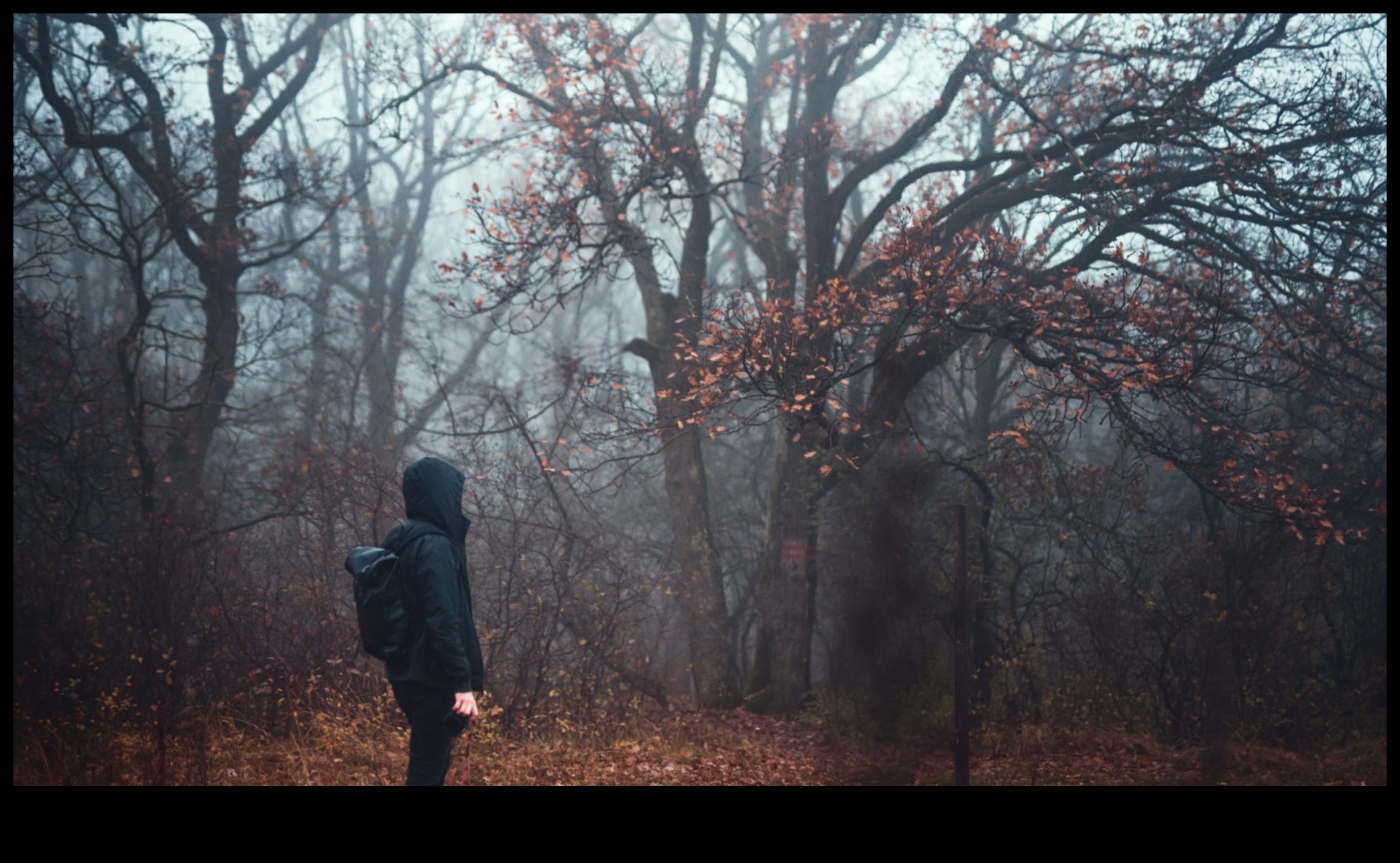 Sisli Fantasia: Atmosferik ve Gizemli Çekimler İçin Teknikler