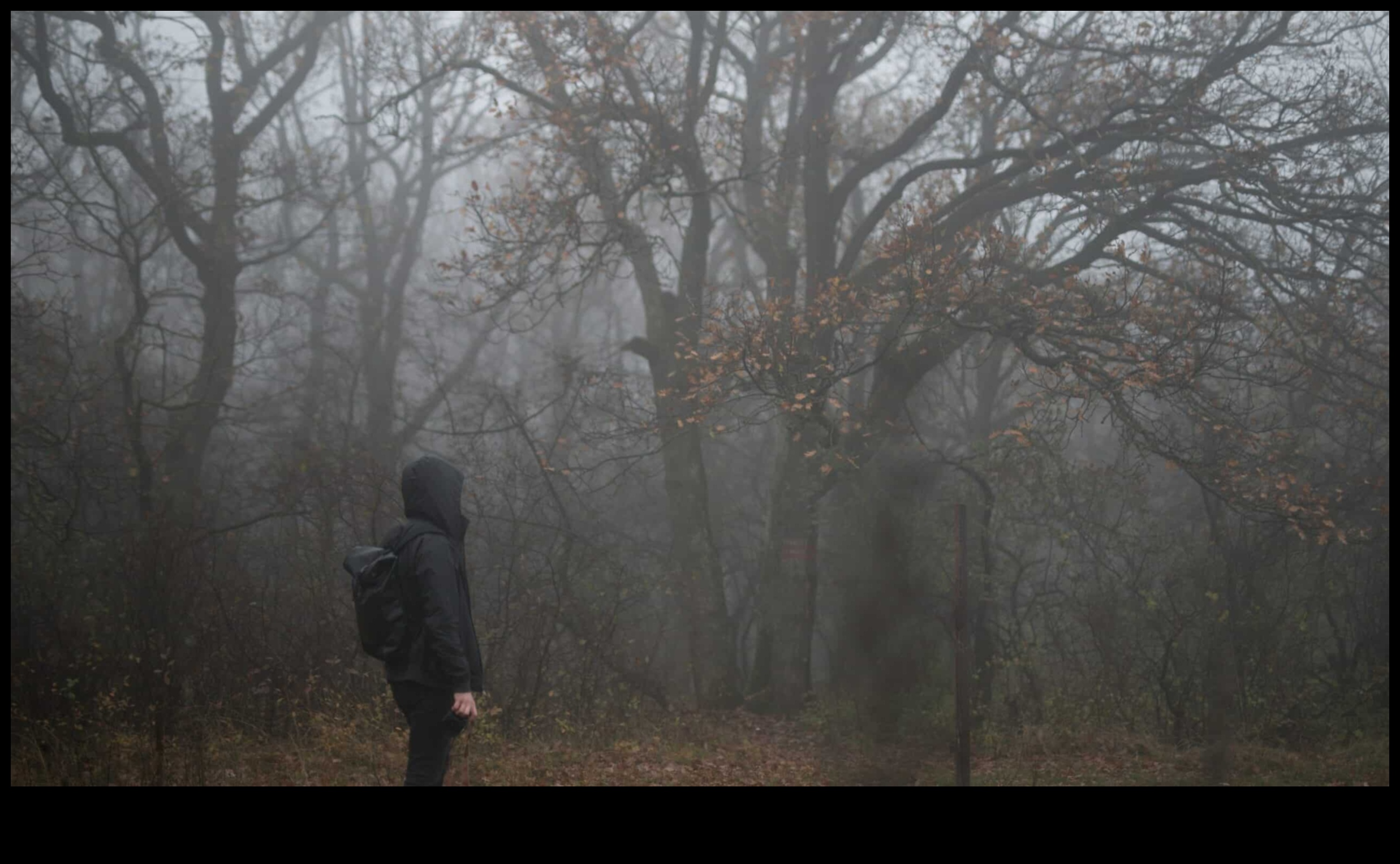 Sisli Fantasia: Atmosferik ve Gizemli Çekimler İçin Teknikler